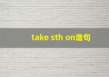 take sth on造句